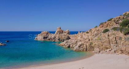 Orchid: tilava Uima-allas