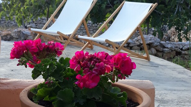 Dos sillones blancos con estructura de madera, una planta en maceta con flores rosadas y un muro de piedra al fondo.