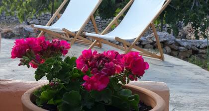 Hausverkauf von Sa Punta. Das Hotel liegt in einer rustikalen Umgebung und ist leicht zu erreichen.