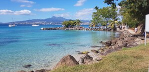A coastal scene with clear water, rocky shoreline, and a distant mountain range. - Les Trois Ilets: Apartment/ flat - TROIS-ILETS (les trois ilets)
