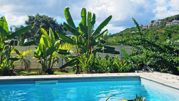 Una piscina con una cesta de mimbre que contiene frutas y flores, rodeada de exuberante vegetación y un cielo despejado.