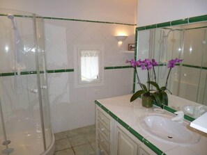 Shower, hair dryer
