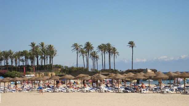 Una spiaggia con file di lettini e ombrelloni di paglia, palme sullo sfondo e cielo sereno.