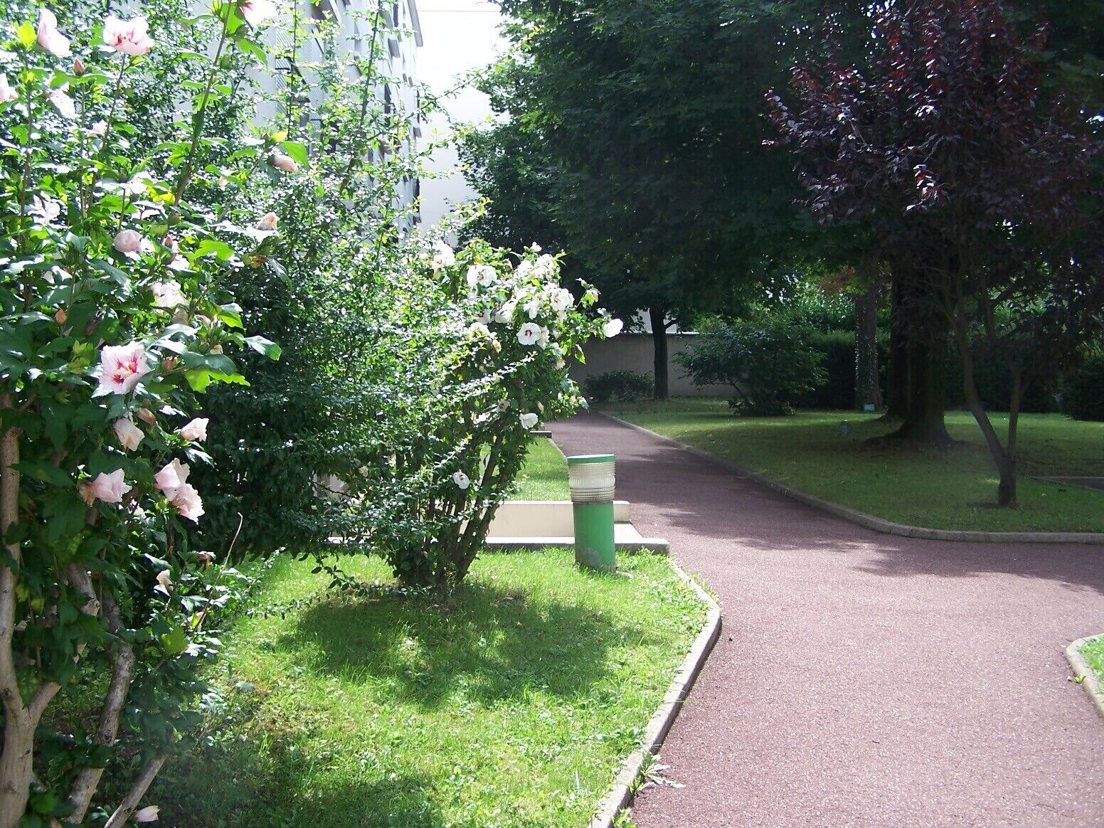 Een pad bezaaid met bloeiende struiken en bomen, dat naar een gebouw leidt.