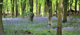 Haven Lodge in Kenwick Park Louth Lincolnshire