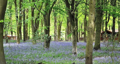 Haven Lodge in Kenwick Park Louth Lincolnshire