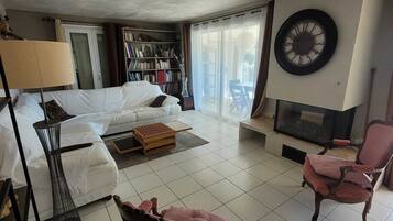 Télévision, cheminée, lecteur de DVD, livres