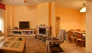 Télévision, cheminée, jeux vidéo, lecteur de DVD