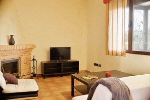 Télévision, cheminée, jeux vidéo, lecteur de DVD