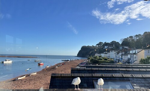 Delightful Cottage on Shaldon Green, 50m to Beach, Nautical Decor | Sleeps 4-6