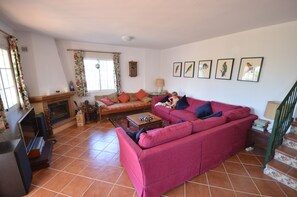 Smart TV, fireplace, video games, DVD player