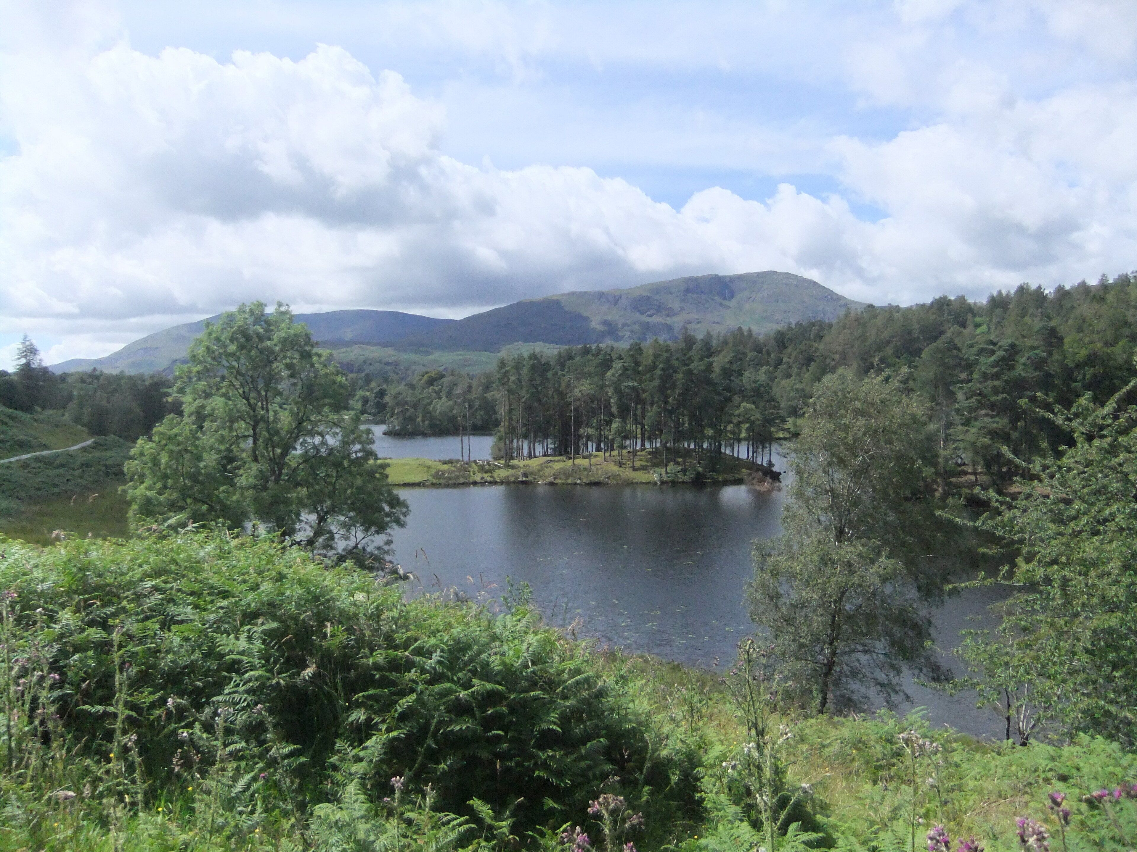 Badger's Way - In The Heart Of The English Lake District - Badger Watching Here