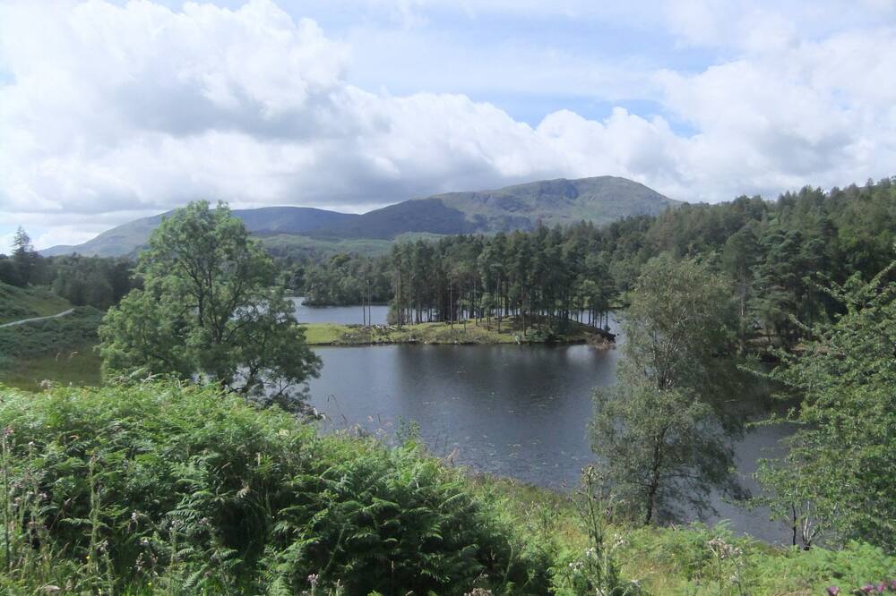 Badger's Way - In The Heart Of The English Lake District - Badger Watching Here