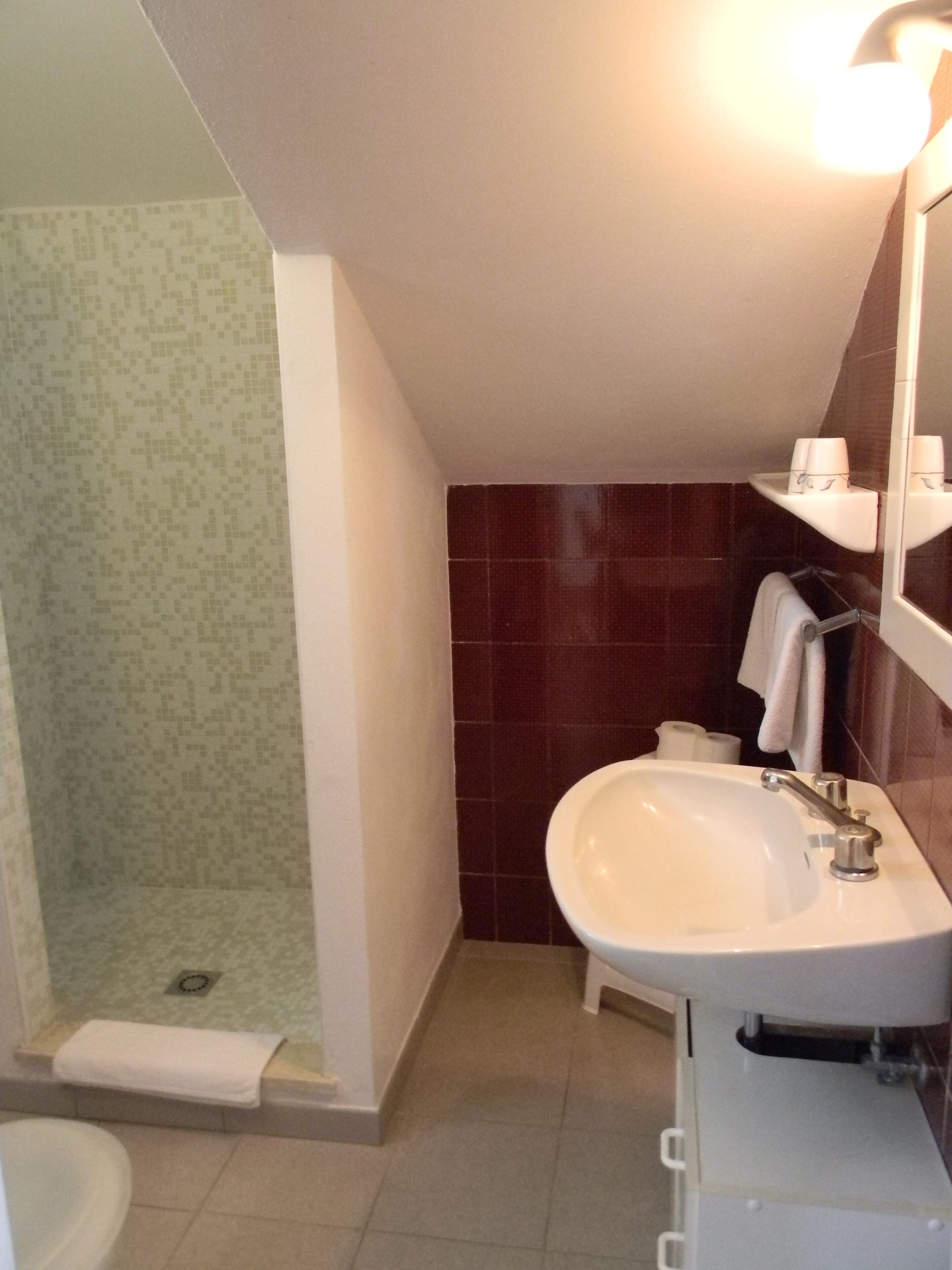 shower, hair dryer, bidet, toilet paper