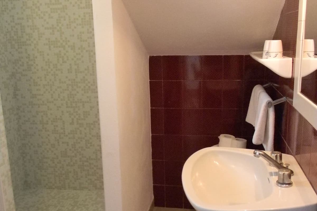 shower, hair dryer, bidet, toilet paper