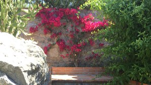 A set of brick stairs leading up to a stone wall with red flowers. - confortable cottage with stunning seaview and total privacy in the nature (Montemarcello-Ameglia (SP))