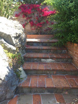 Property grounds - confortable cottage with stunning seaview and total privacy in the nature (Montemarcello-Ameglia (SP))