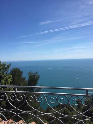 Property grounds - confortable cottage with stunning seaview and total privacy in the nature (Montemarcello-Ameglia (SP))