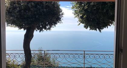 confortable cottage with stunning seaview and total privacy in the nature