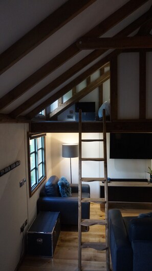 TV connectée, jeux vidéo, chaîne hi-fi