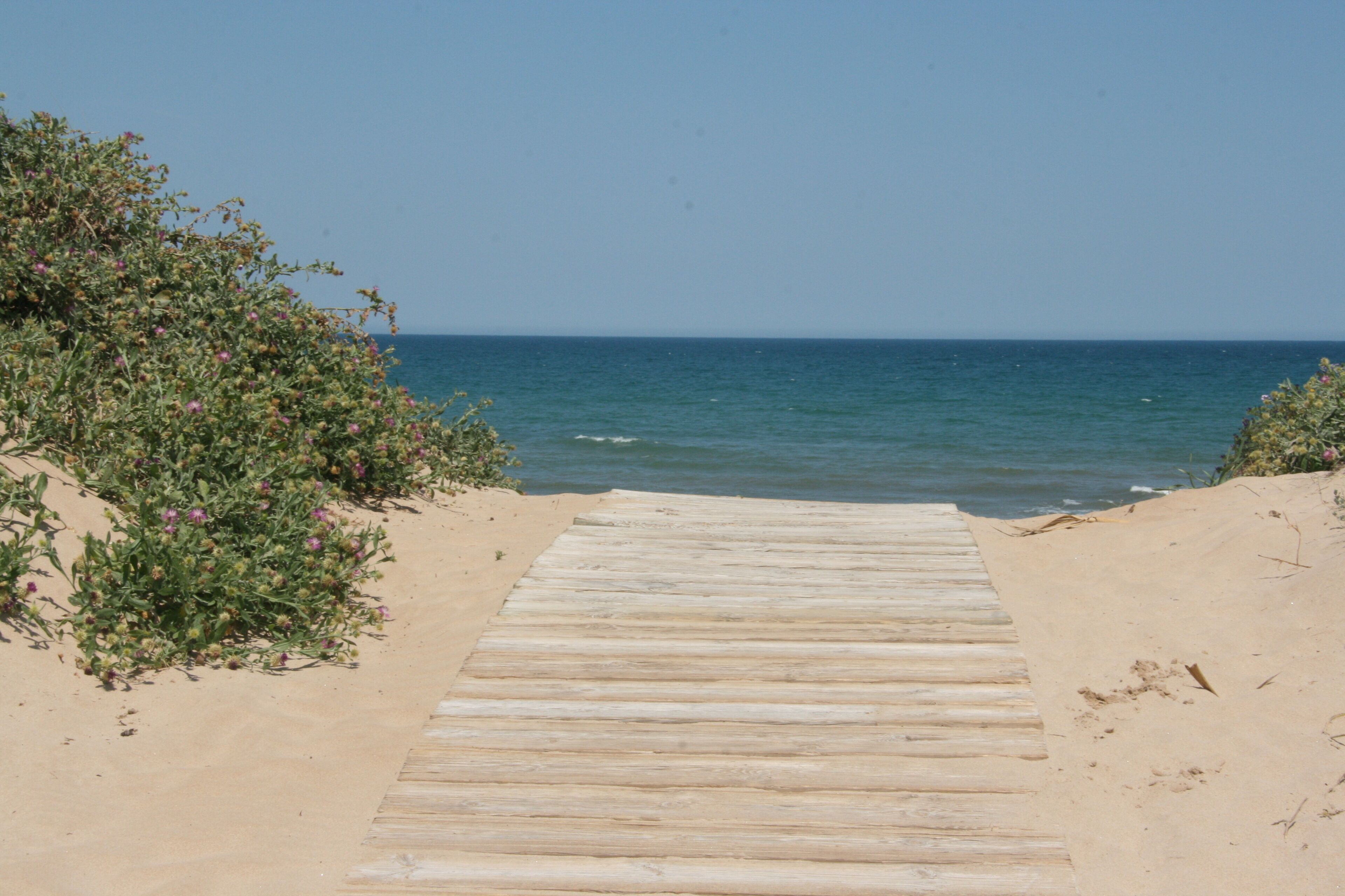 Ein hölzerner Weg führt zu einem Strand mit klarem, blauem Wasser.