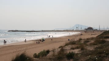 Accommodatie ligt op het strand, ligstoelen