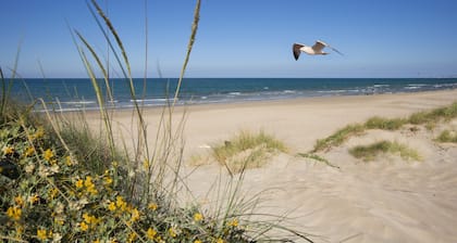 Freistehendes Haus am Strand von Oliva in Urb. Kiko, auf einem privaten Grundstück