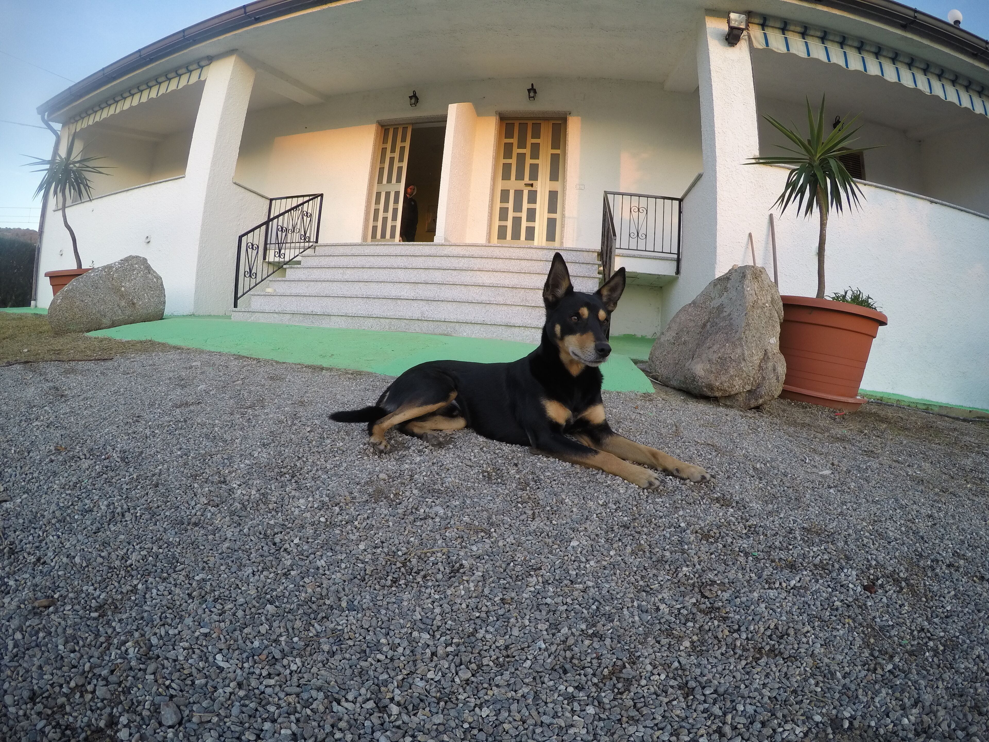 Parco della struttura