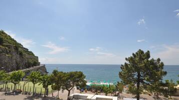 Beach/ocean view