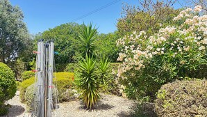 A garden with a variety of plants, including a tall yucca and flowering shrubs. - Impressive Villa in Ferragudo, with Private Pool, Air Con, Garden & Fibre WiFi. (lagoa)