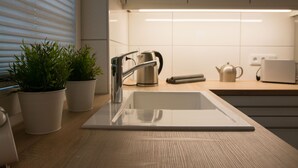 Une cuisine moderne équipée d’un évier en acier inoxydable, d’une bouilloire et de plantes en pot.