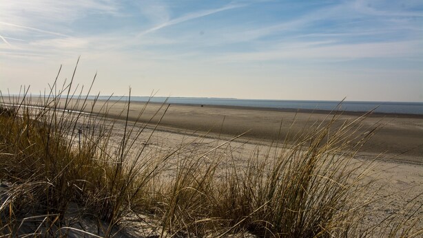 Une plage avec des dunes de sable et une végétation clairsemée.