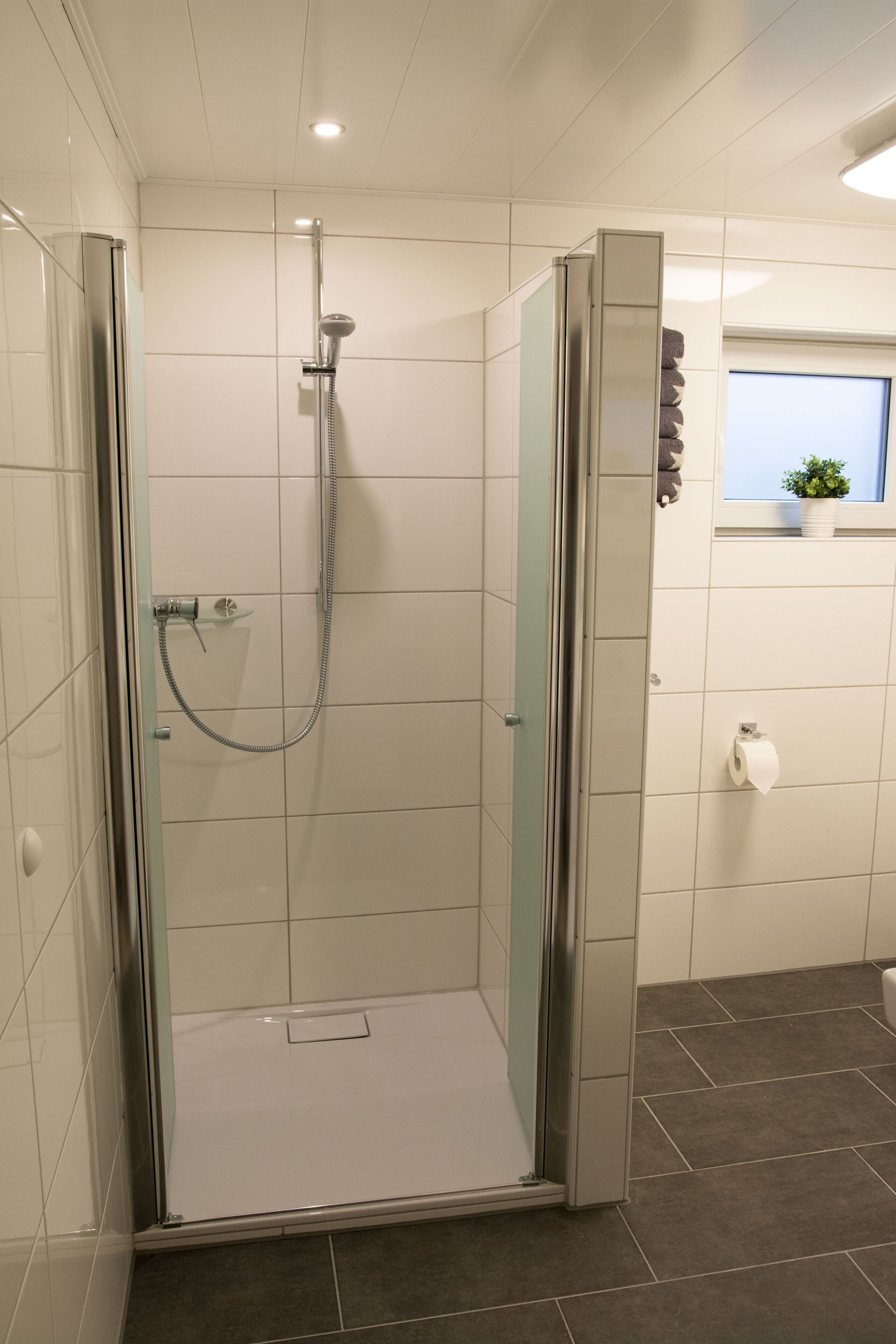 Een inloopdouche met glazen deur, een handdoekhouder en een raam met een plant.
