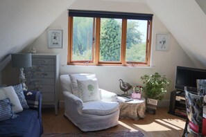 Televisión, reproductor de DVD, tenis de mesa y libros