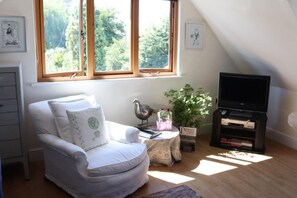 Een televisie, een dvd-speler, een tafeltennistafel en boeken