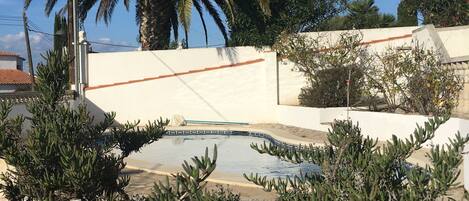 A pool surrounded by cacti and palm trees, with a white wall and a clear blue sky in the background.