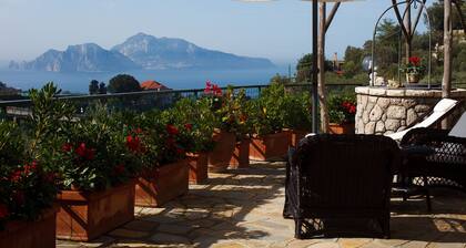 Villa Luisa, splendid panoramic villa overlooking Capri
