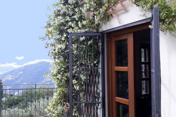 The main entrance, scented with Jasmine