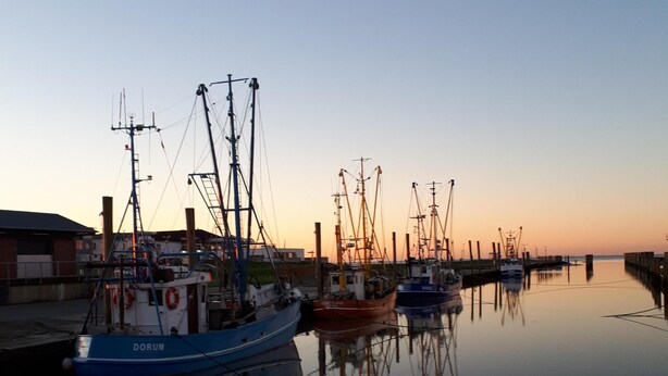 En rolig havn med flere fiskebåde, der ligger til kaj og spejler sig i vandet.