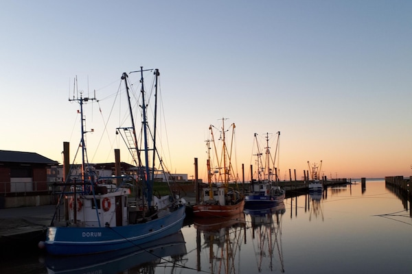 Kutterhafen
