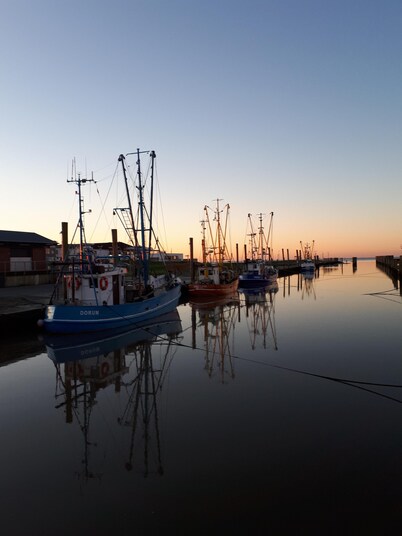 Family friendly holiday home by the sea completely and high quality equipped!