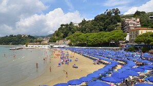 Une plage parsemée de nombreux parasols bleus, où les gens profitent de la mer.