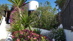 Un jardín con diversas plantas y flores, un edificio blanco y una valla de madera.