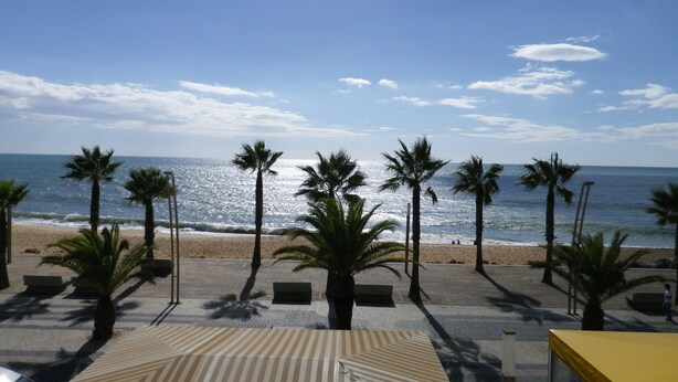 Vista de playa con palmeras y cielo despejado.