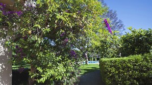 A garden pathway leading to a building, surrounded by lush greenery and purple flowers.