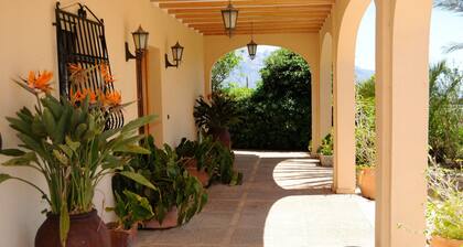 Upea huvila porealtaalla, avokado-kartanossa, kapasiteetti 19 hengelle