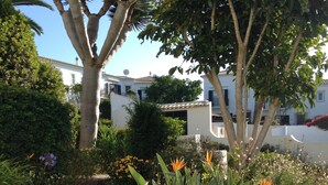 Un jardin avec différentes plantes et arbres, un bâtiment blanc avec un toit en tuiles et un ciel bleu clair.