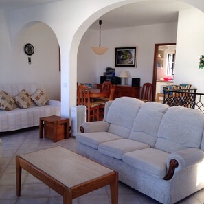 Televisión, chimenea, reproductor de DVD y libros