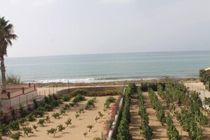 On the beach, sun loungers