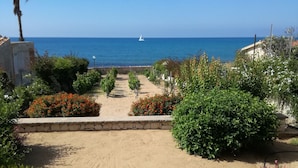 Un patio arenoso con vistas al mar, rodeado de vegetación y una palmera.